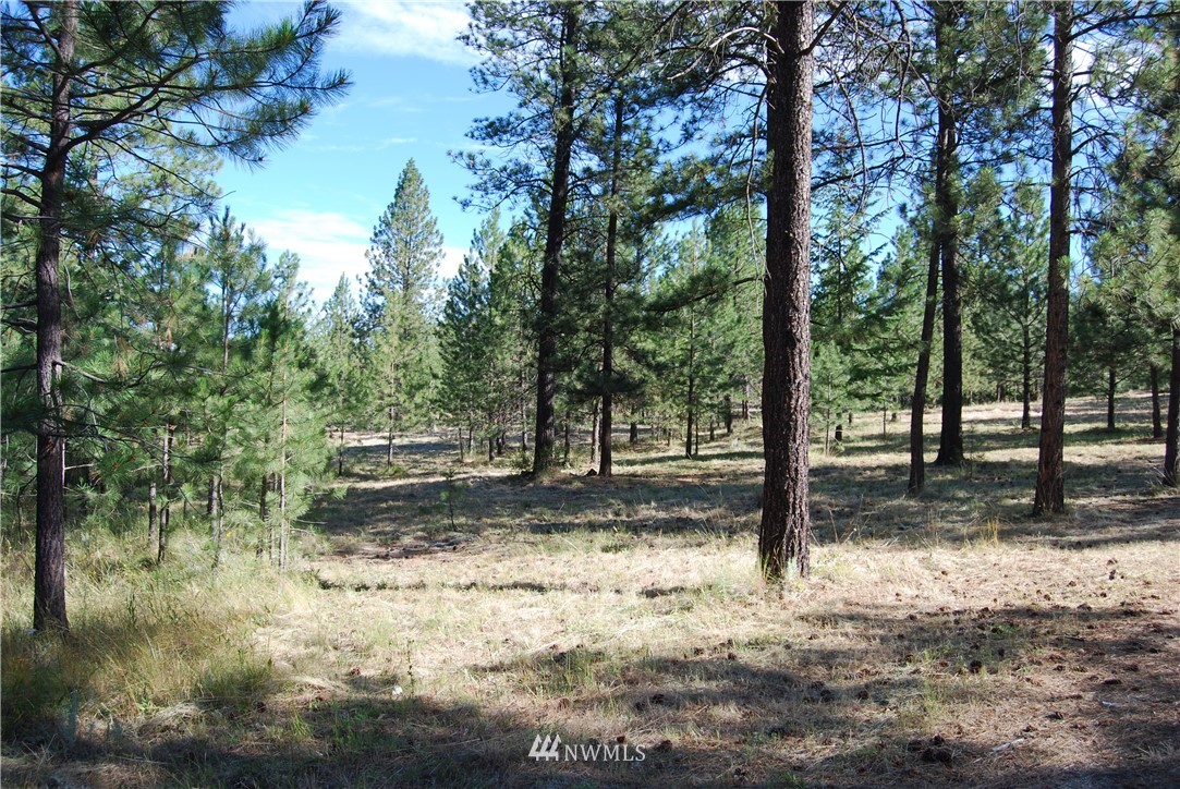 7 Gold Mine Spur East Riverside, WA 98849 - Photo 14 of 20 Gallery Image 14