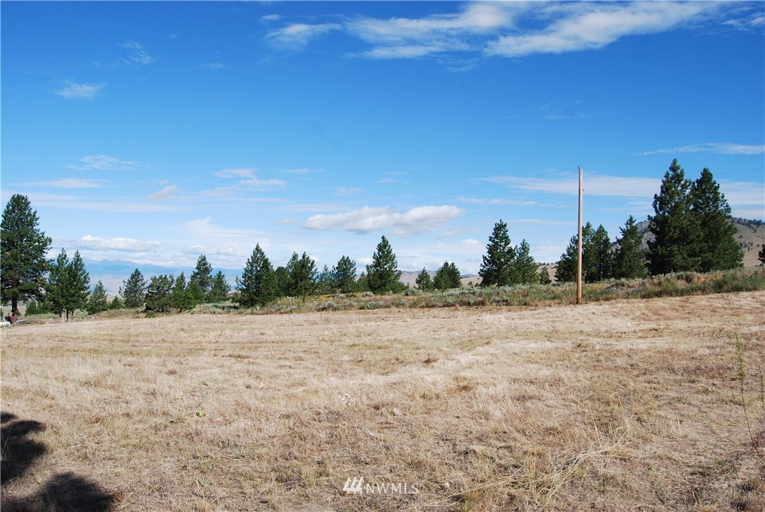 7 Gold Mine Spur East Riverside, WA 98849 - Photo 3 of 20 Gallery Image 3