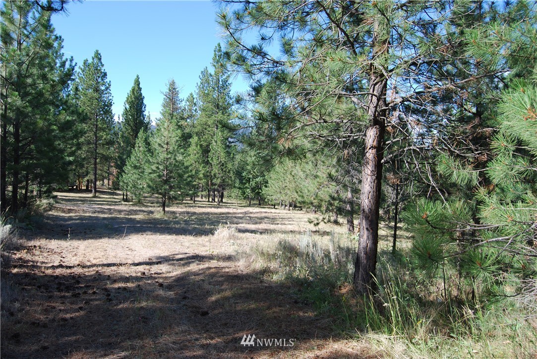 7 Gold Mine Spur East Riverside, WA 98849 - Photo 8 of 20 Gallery Image 8