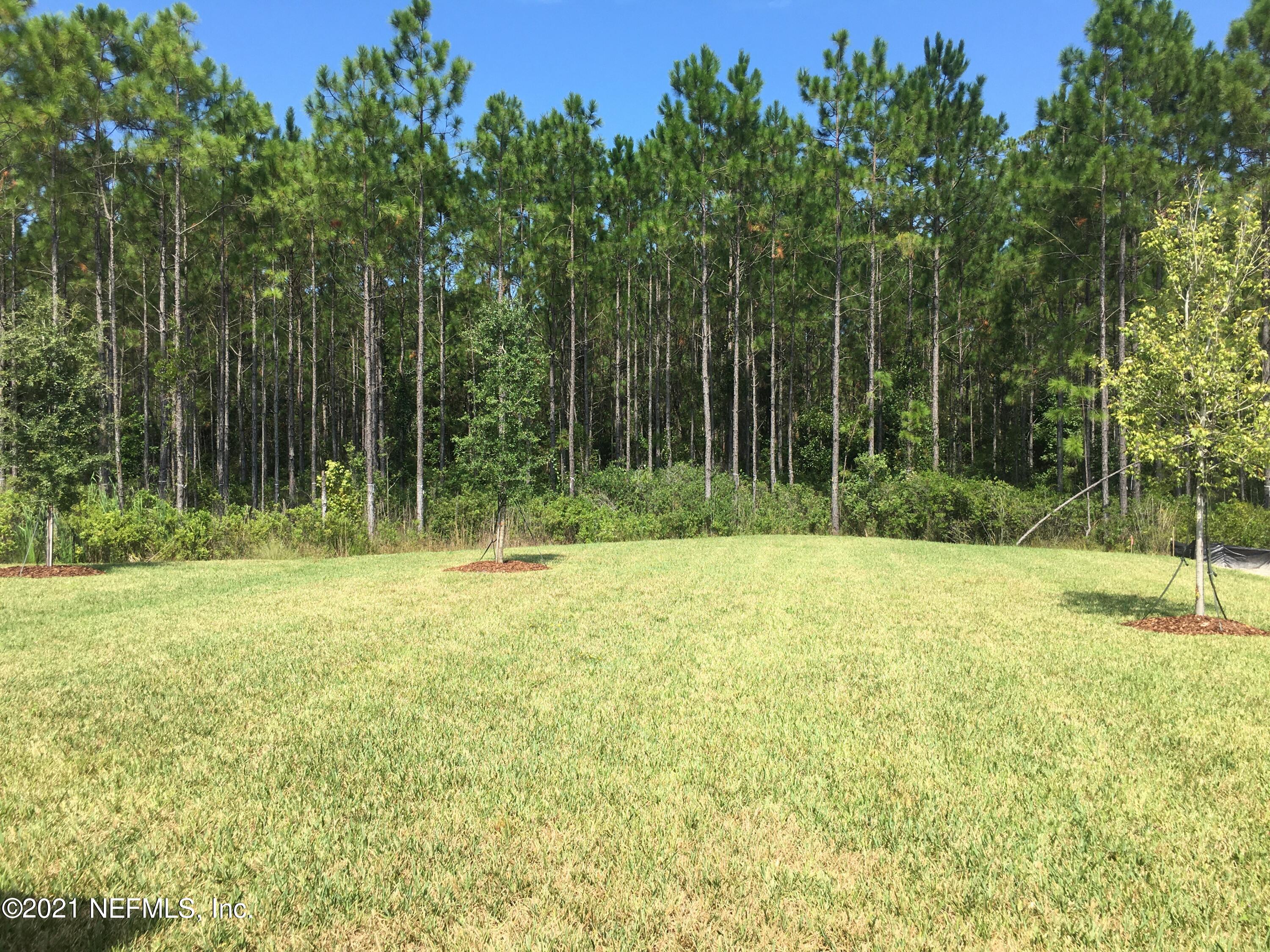 207 Meadow Ridge Drive St. Augustine, FL 32092 - Photo 5 of 23 IMG_0221