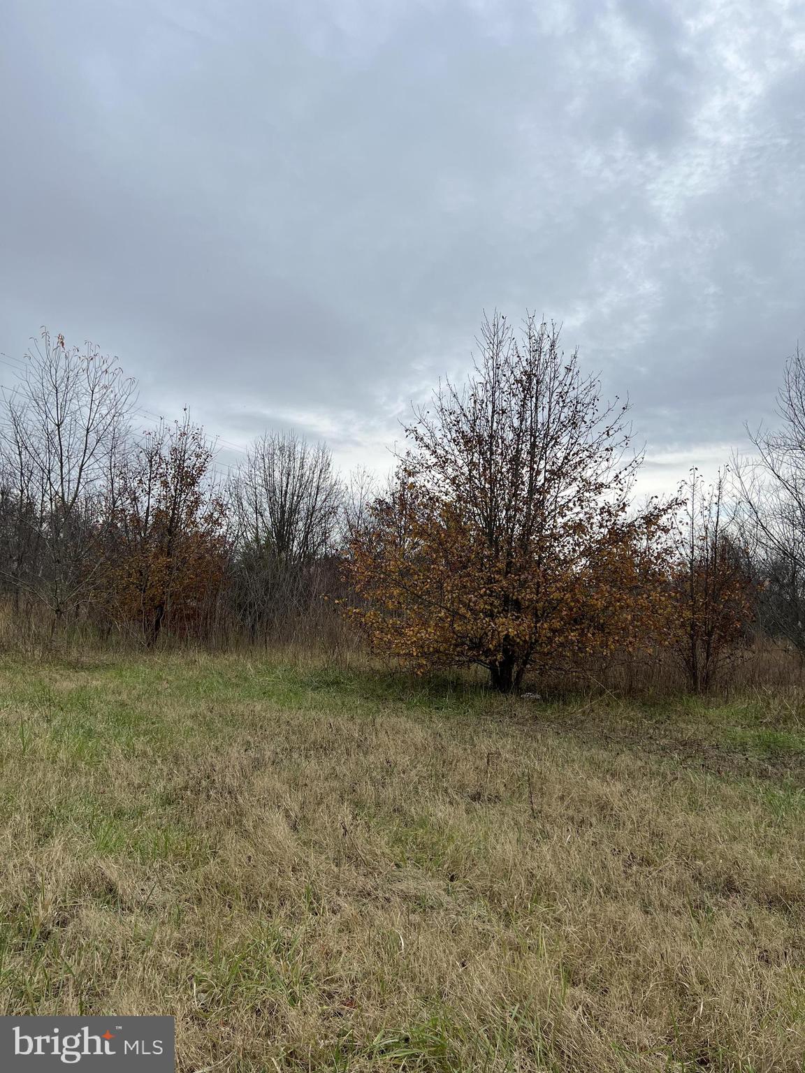 7025 Gravel Branch Road Hurlock, MD 21643 - Photo 18 of 22