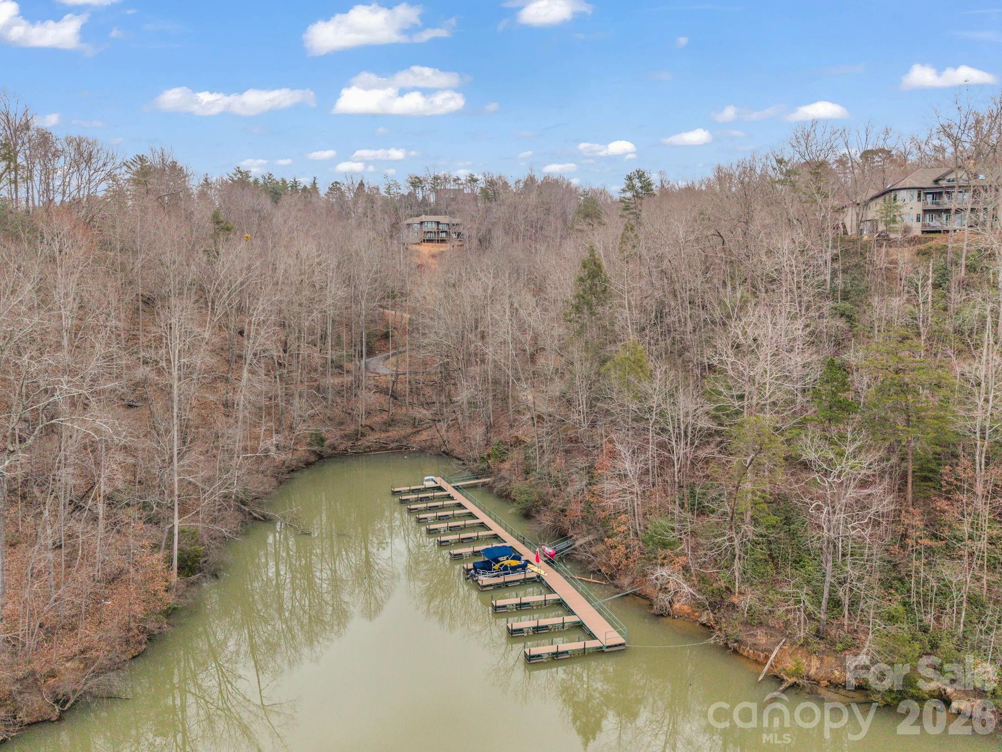 631 Mountain Parkway Mill Spring, NC 28756 - Photo 38 of 43
