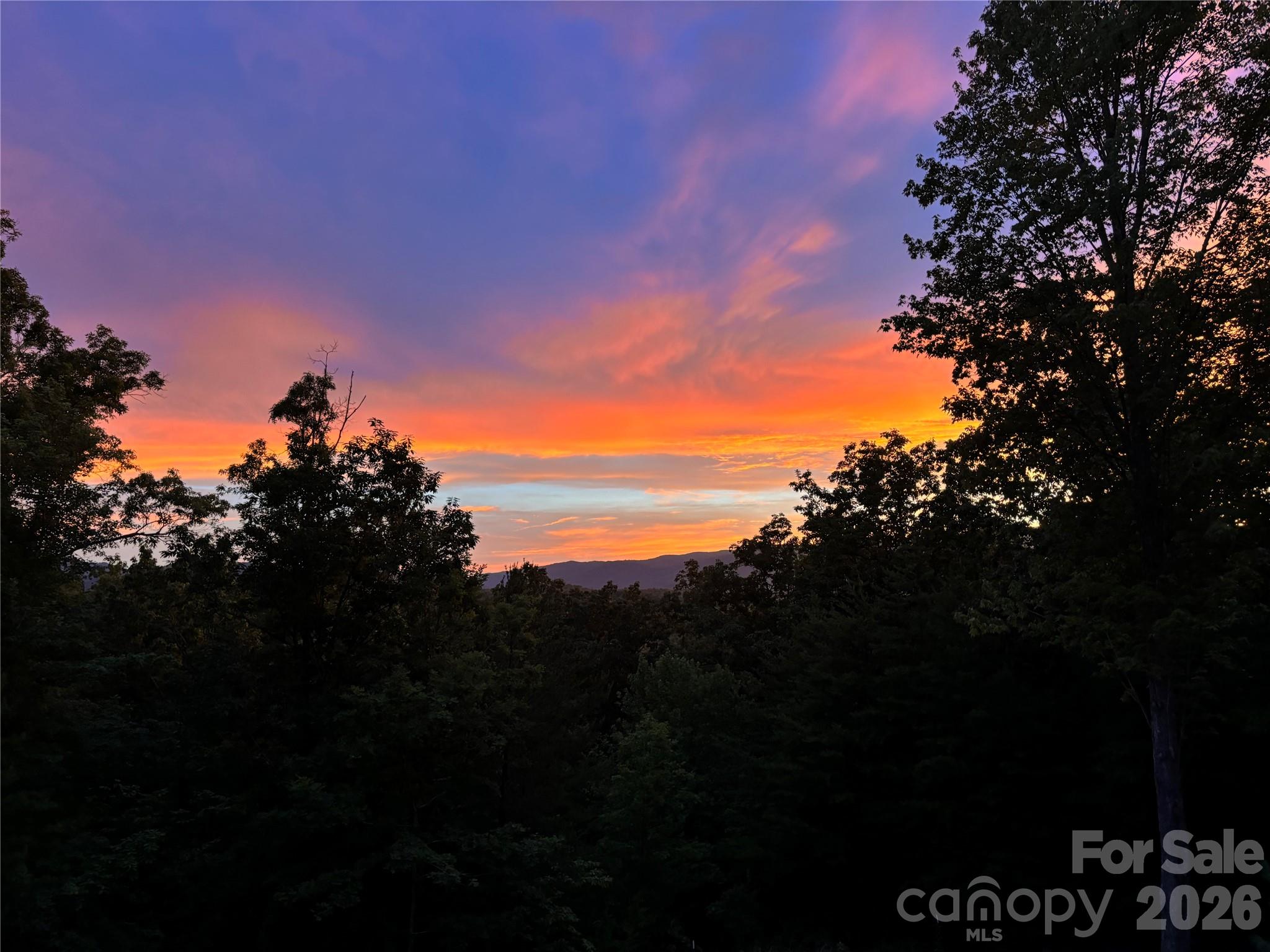 631 Mountain Parkway Mill Spring, NC 28756 - Photo 39 of 43