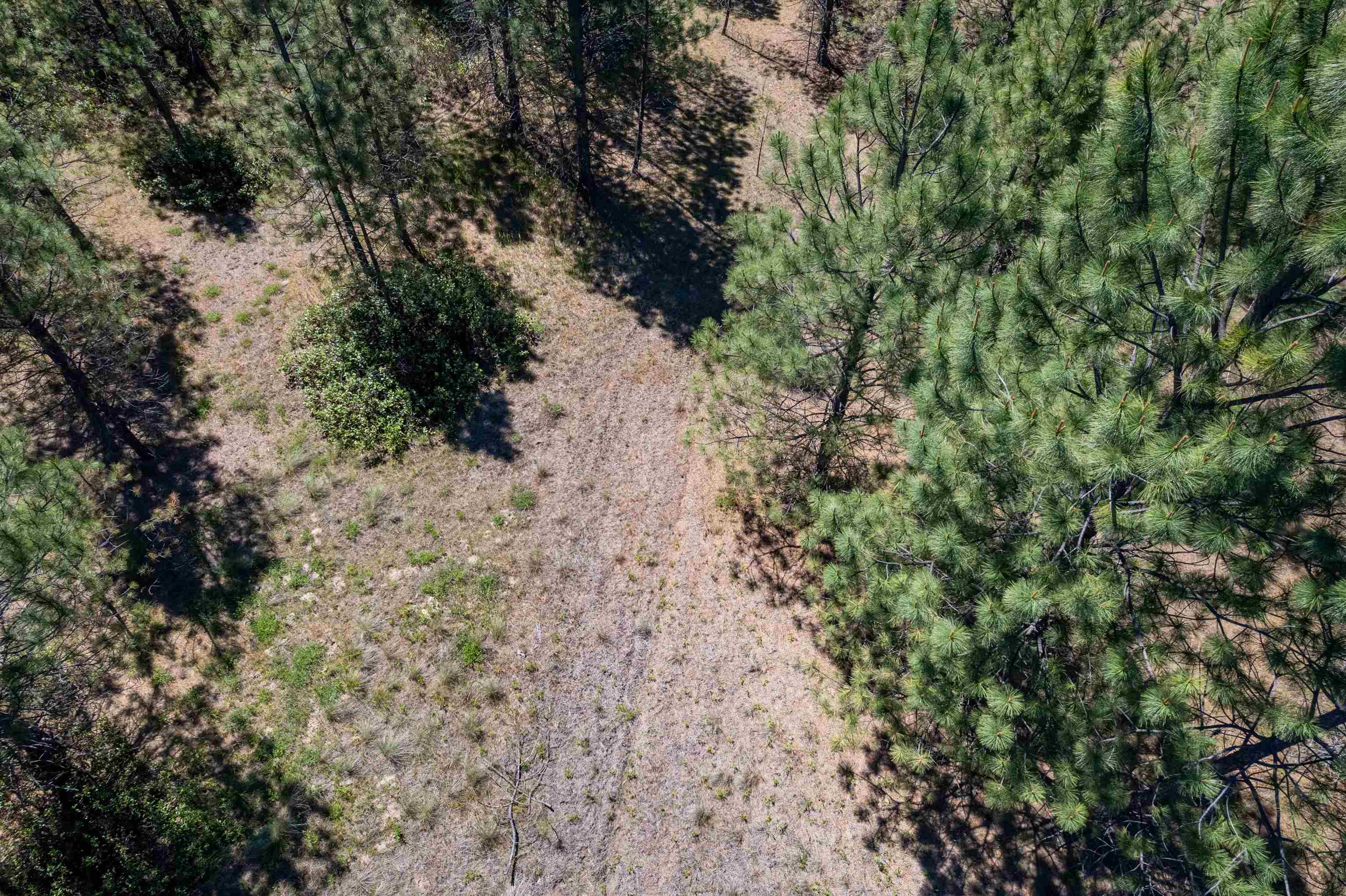 29-xxx North Hardesty Road Chattaroy, WA 99003 - Photo 26 of 40