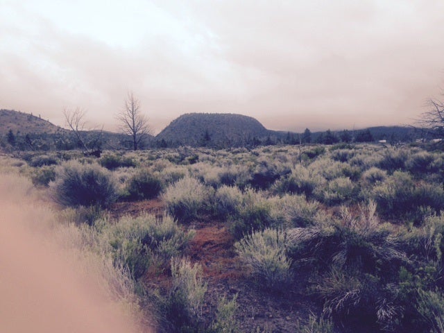 14 Timber Rd Street Montague, CA 96064 - Photo 1 of 1 Gallery Image 1