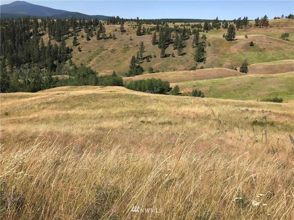 -lot5 Sqove Road Wauconda, WA 98859 - Photo 3 of 10