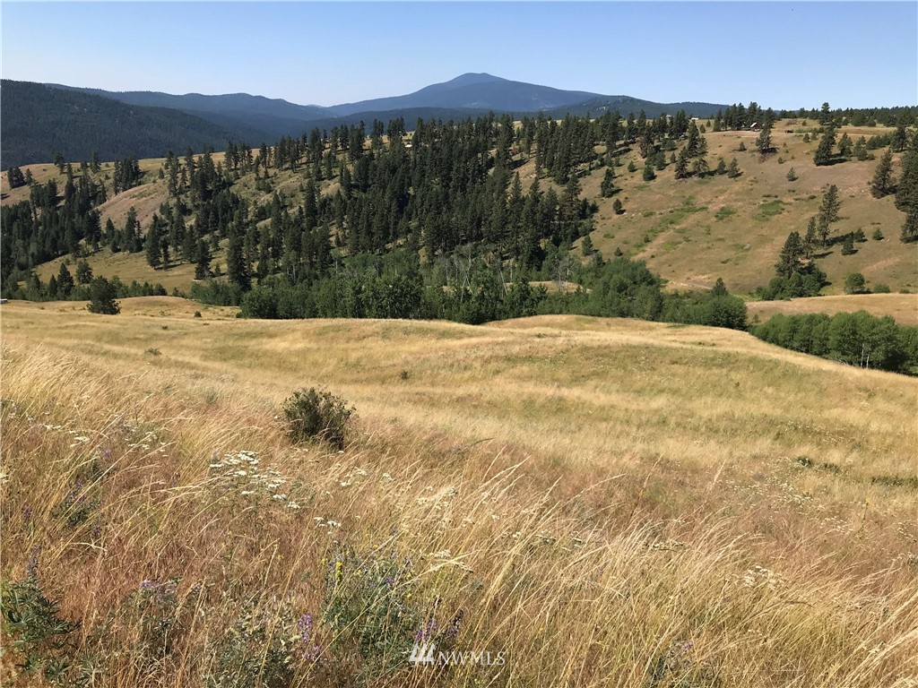 -lot5 Sqove Road Wauconda, WA 98859 - Photo 4 of 10