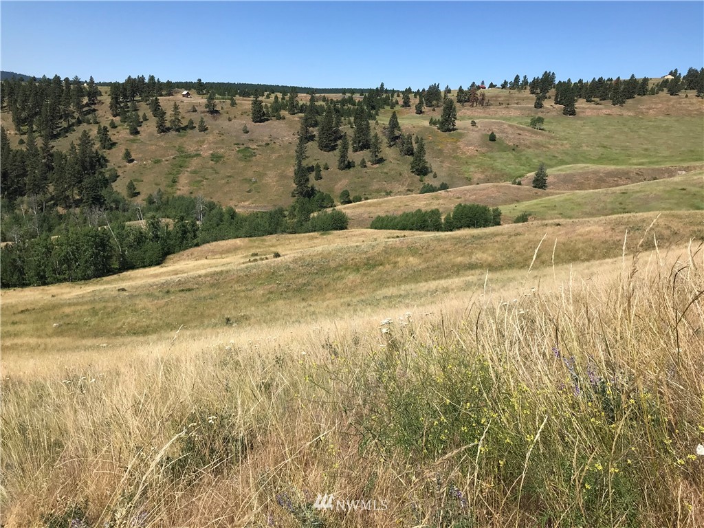 -lot5 Sqove Road Wauconda, WA 98859 - Photo 8 of 10