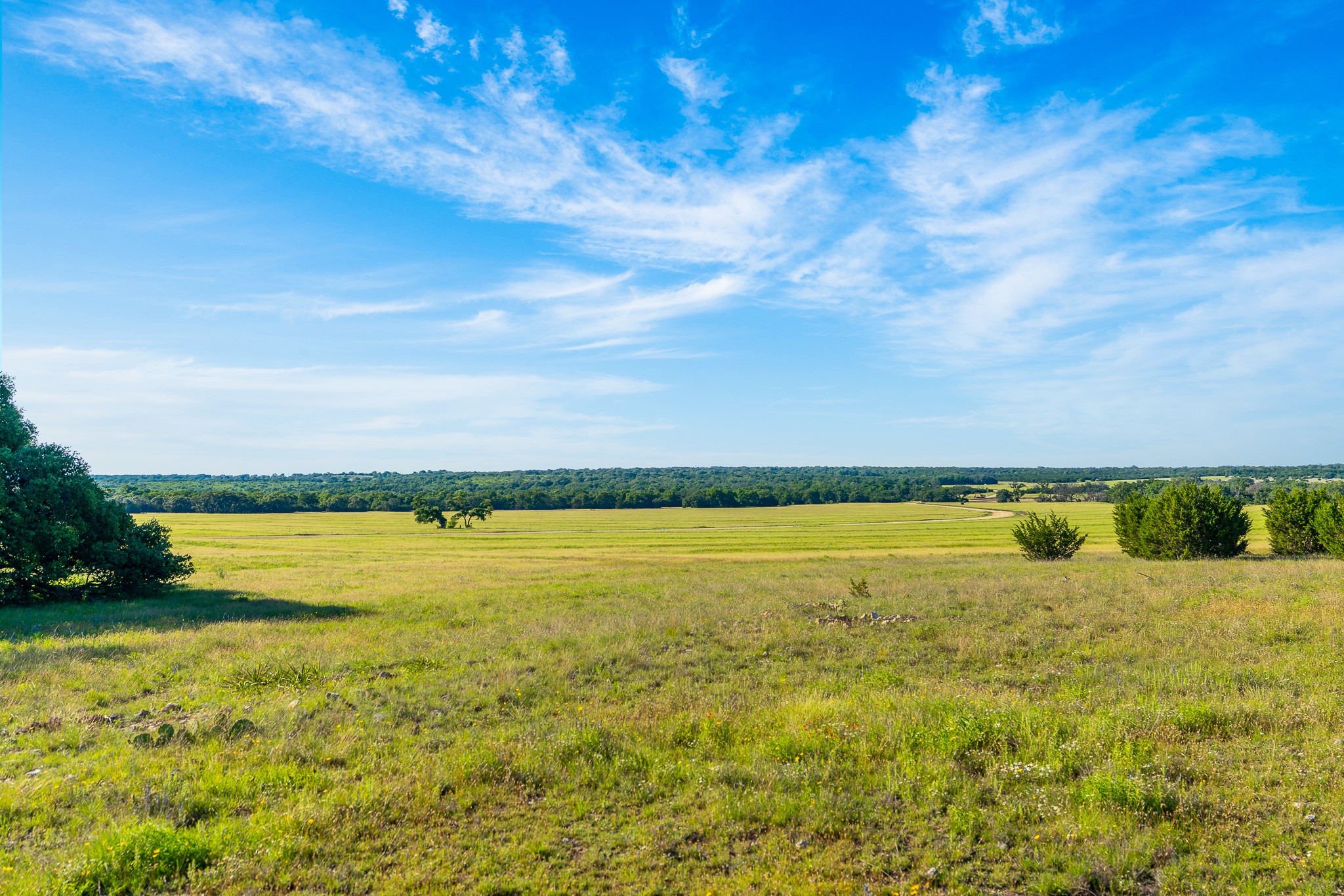 32 Feild Ranch Road Burnet, TX 78611 - Photo 19 of 40 Vast green fields stretch to a tree line, presenting an idyllic canvas for rural living.