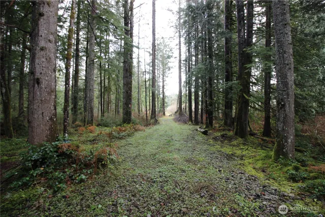 a view of outdoor space and green space