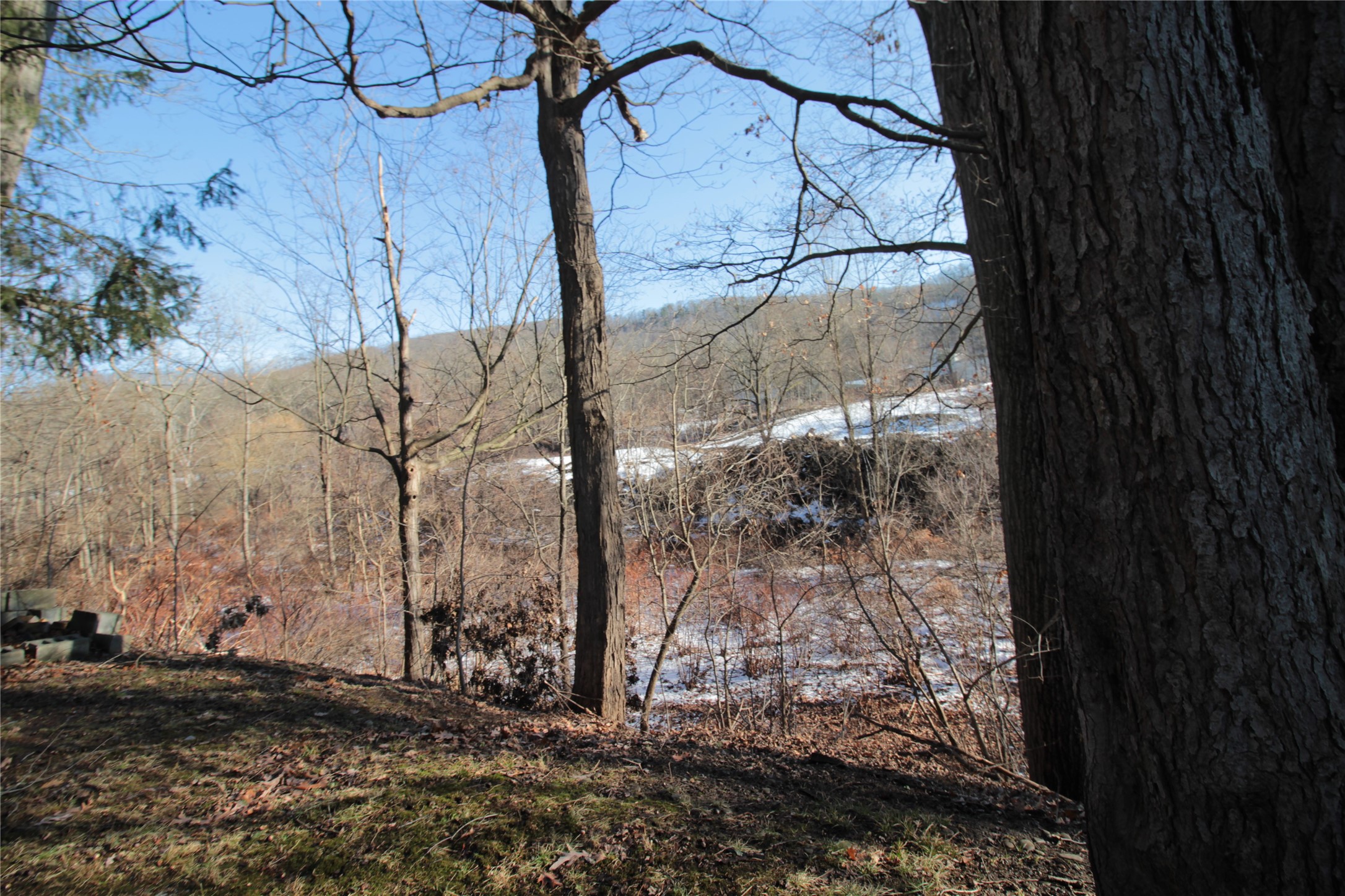 22 Rochelle Road Binghamton, NY 13901 - Photo 43 of 46 Gallery Image 43