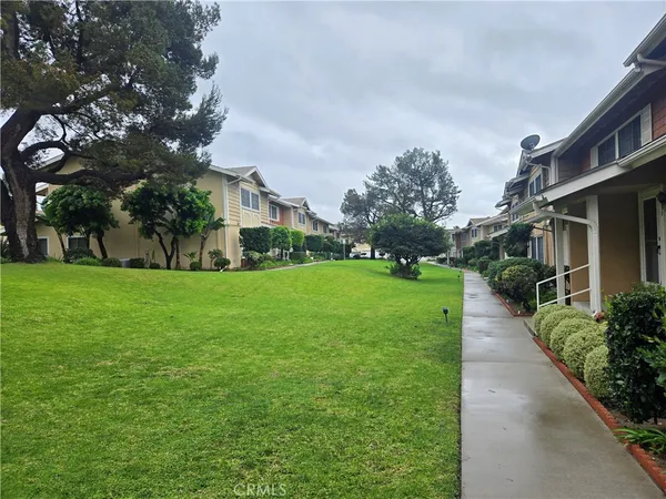 a view of a yard with plants