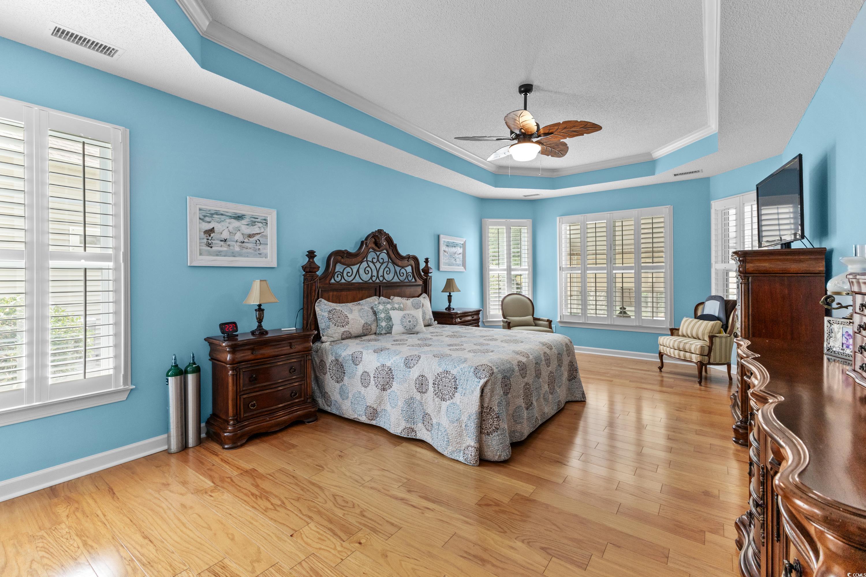 29 Saltwind Loop Murrells Inlet, SC 29576 - Photo 13 of 40 Tray ceiling with molding