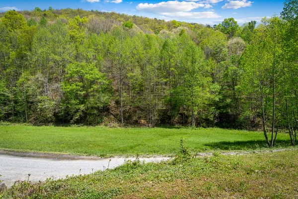 $450,000 | 891 Bushy Head Road, Cherry Log, GA 30522