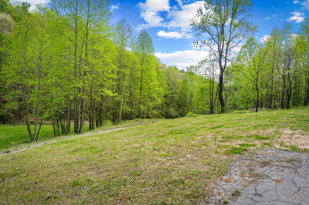 891 Bushy Head Road Cherry Log, GA 30522 - Photo 13 of 23