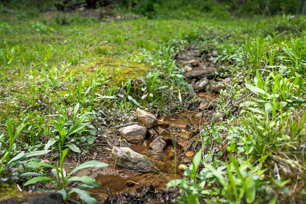 891 Bushy Head Road Cherry Log, GA 30522 - Photo 14 of 23