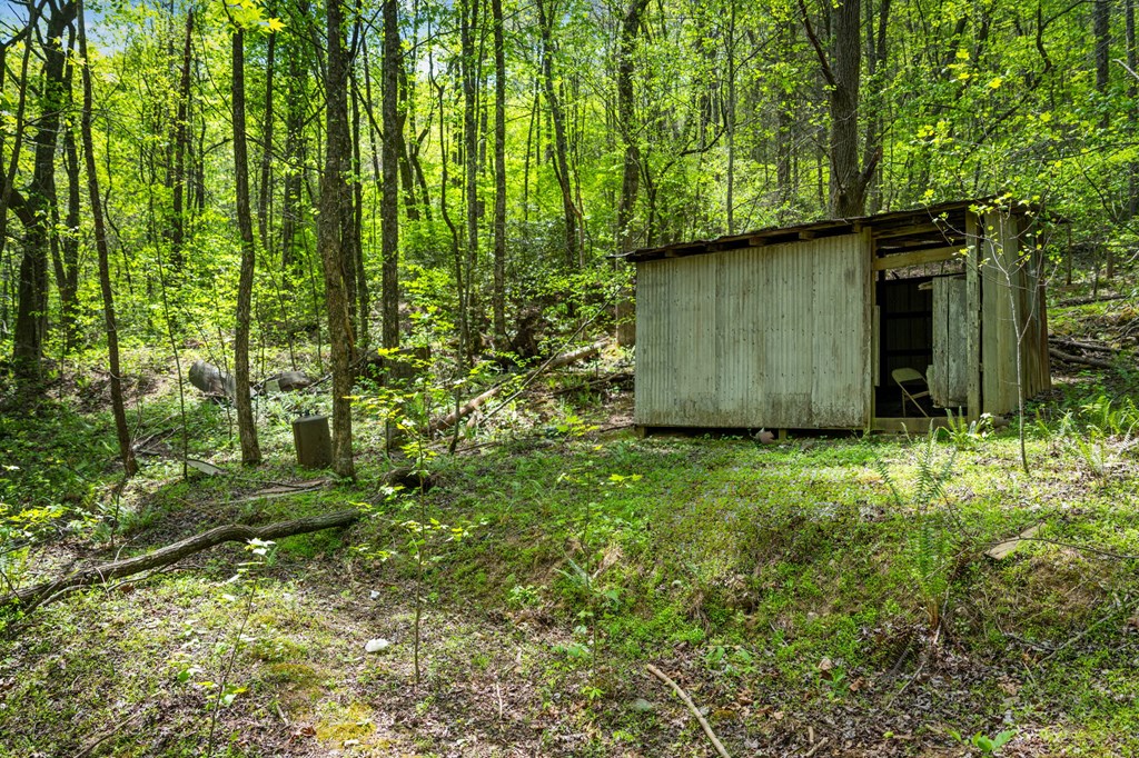 891 Bushy Head Road Cherry Log, GA 30522 - Photo 16 of 23