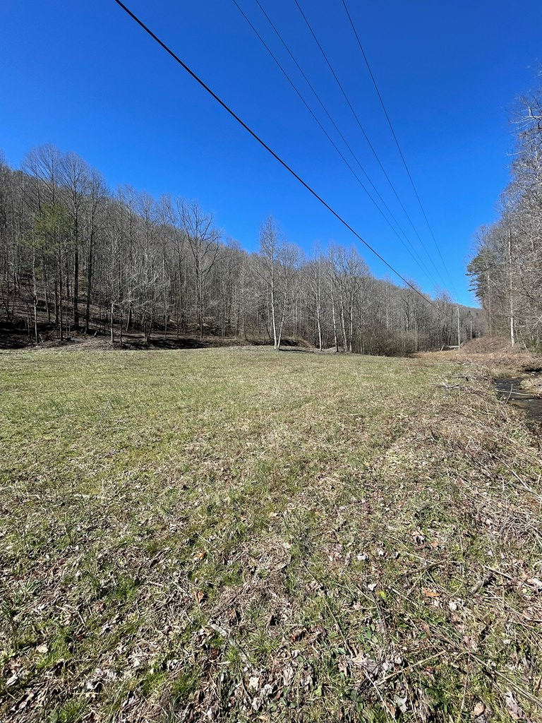 891 Bushy Head Road Cherry Log, GA 30522 - Photo 20 of 23