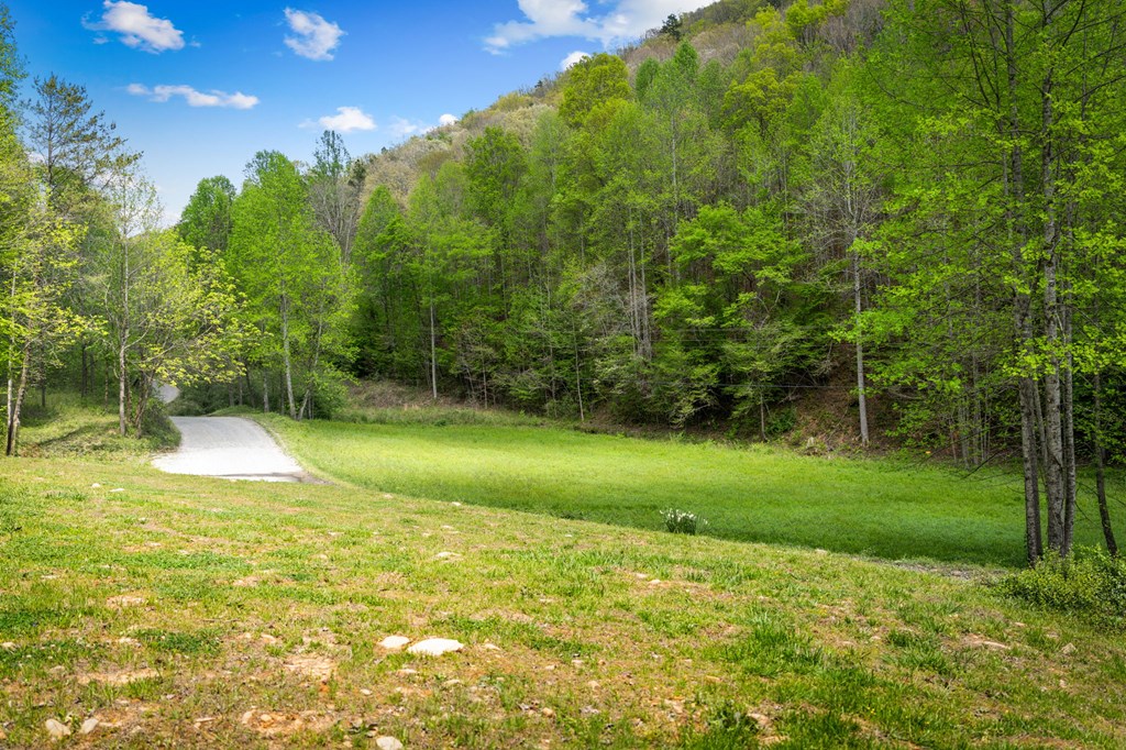 891 Bushy Head Road Cherry Log, GA 30522 - Photo 2 of 23