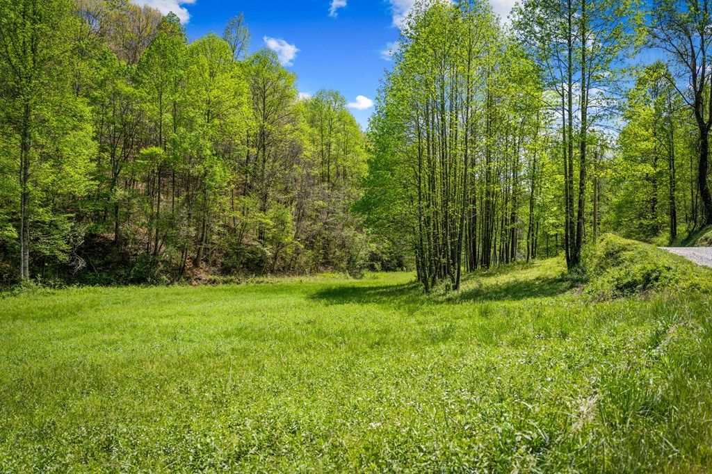 891 Bushy Head Road Cherry Log, GA 30522 - Photo 3 of 23