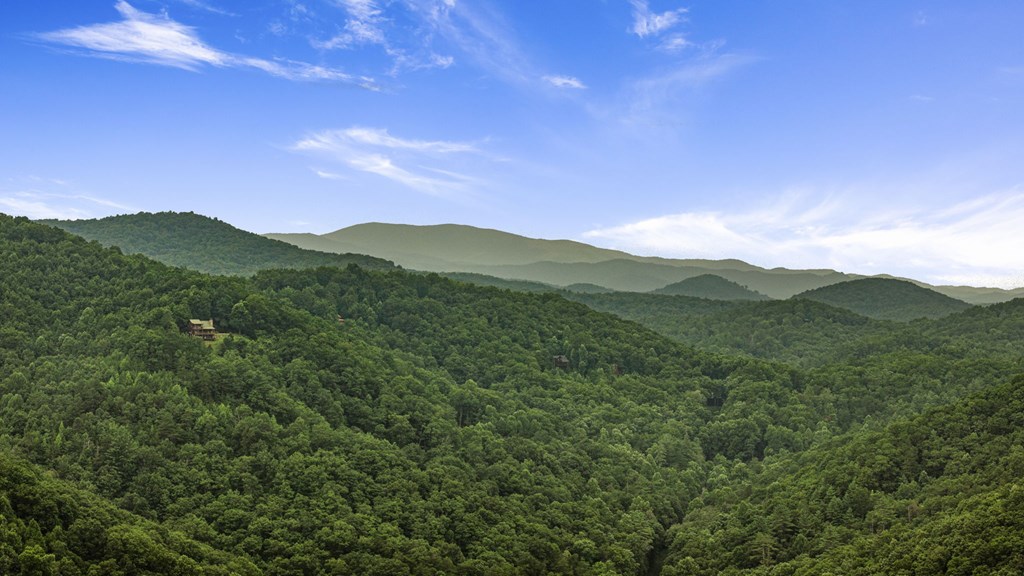 891 Bushy Head Road Cherry Log, GA 30522 - Photo 4 of 23