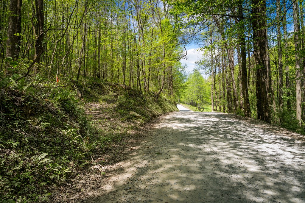 891 Bushy Head Road Cherry Log, GA 30522 - Photo 5 of 23