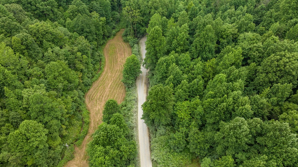891 Bushy Head Road Cherry Log, GA 30522 - Photo 6 of 23