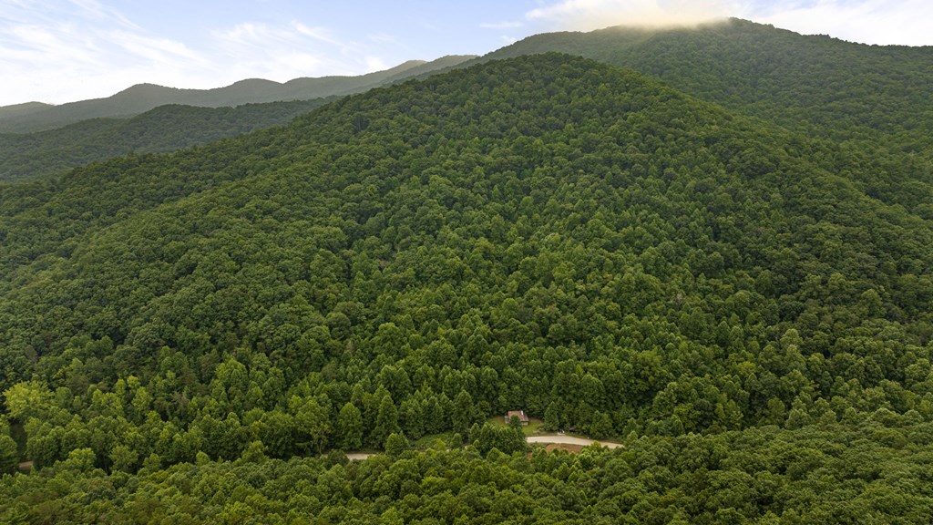 891 Bushy Head Road Cherry Log, GA 30522 - Photo 7 of 23