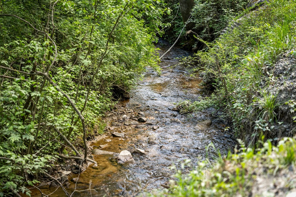 891 Bushy Head Road Cherry Log, GA 30522 - Photo 8 of 23