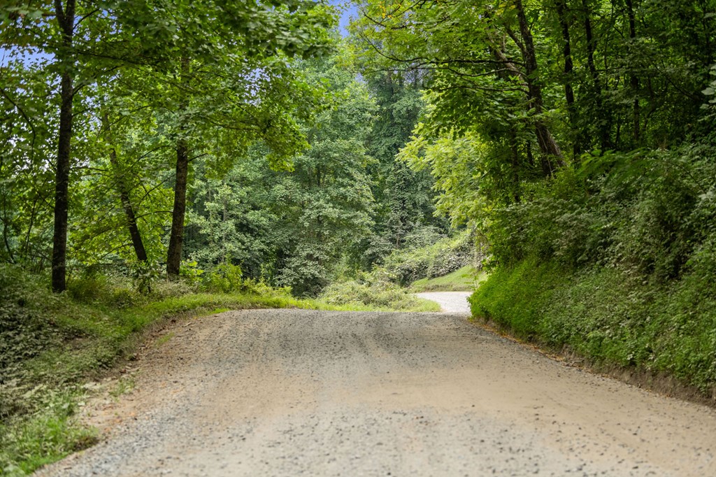 891 Bushy Head Road Cherry Log, GA 30522 - Photo 10 of 23