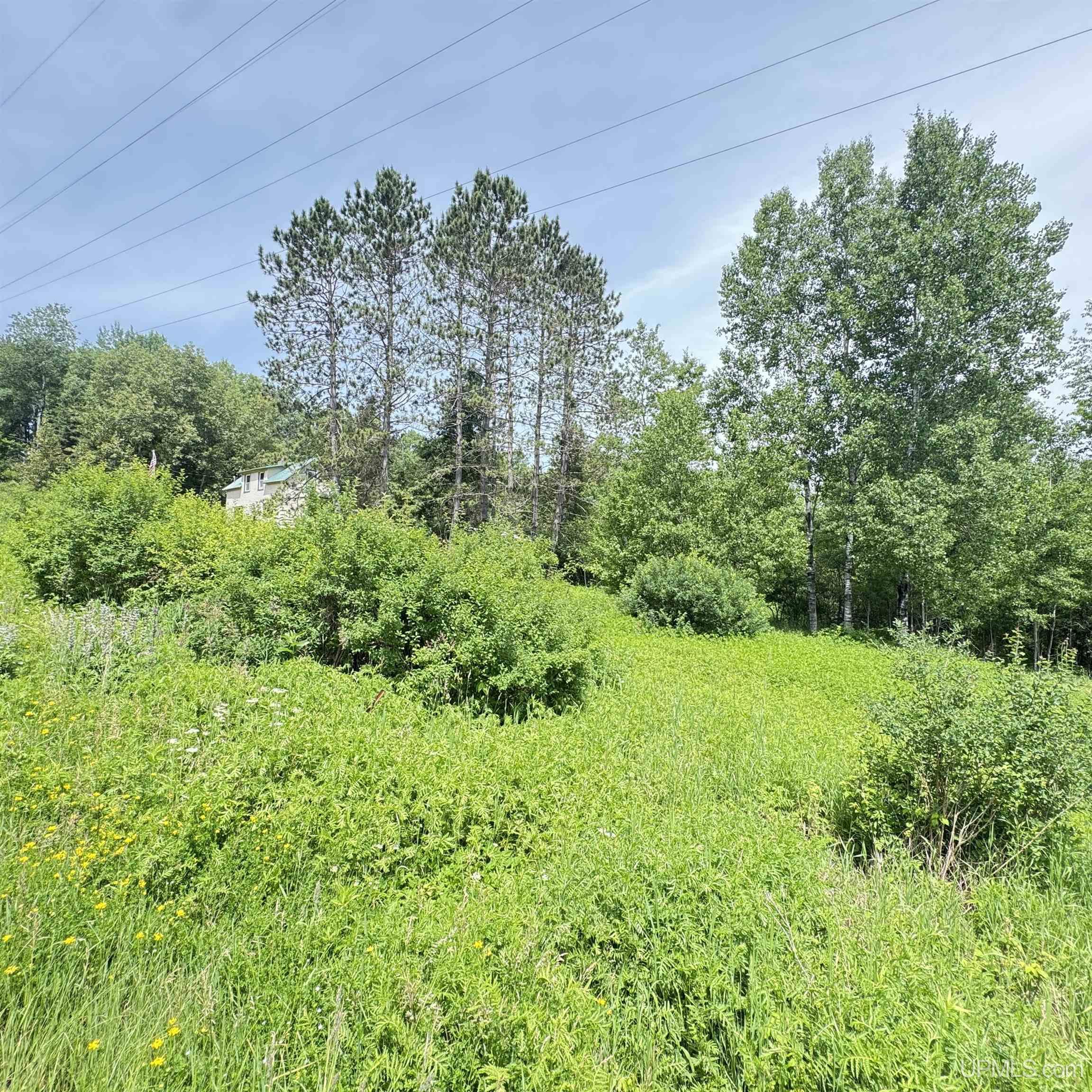 1669 Kofmehl Road Iron River, MI 49935 - Photo 40 of 49