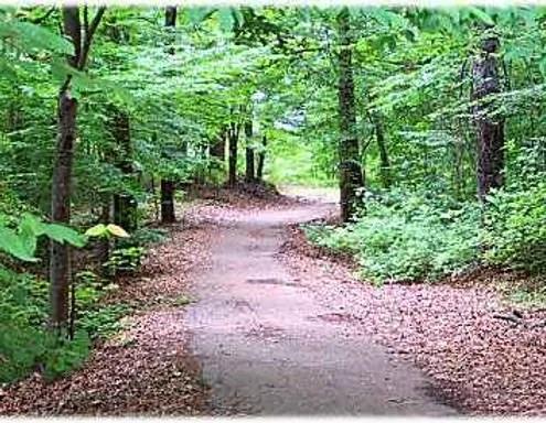 352 Wood Springs Haughton, LA 71037 - Photo 33 of 34 a view of a garden with large trees