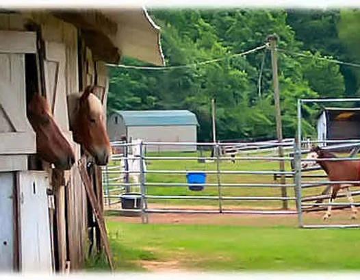 352 Wood Springs Haughton, LA 71037 - Photo 34 of 34 a view of swimming pool with a backyard