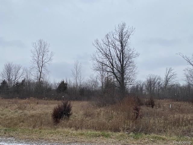 0 West Stanley Road Mount Morris, MI 48458 - Photo 3 of 3
