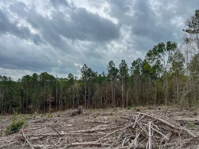 a view of a yard with wooden fence