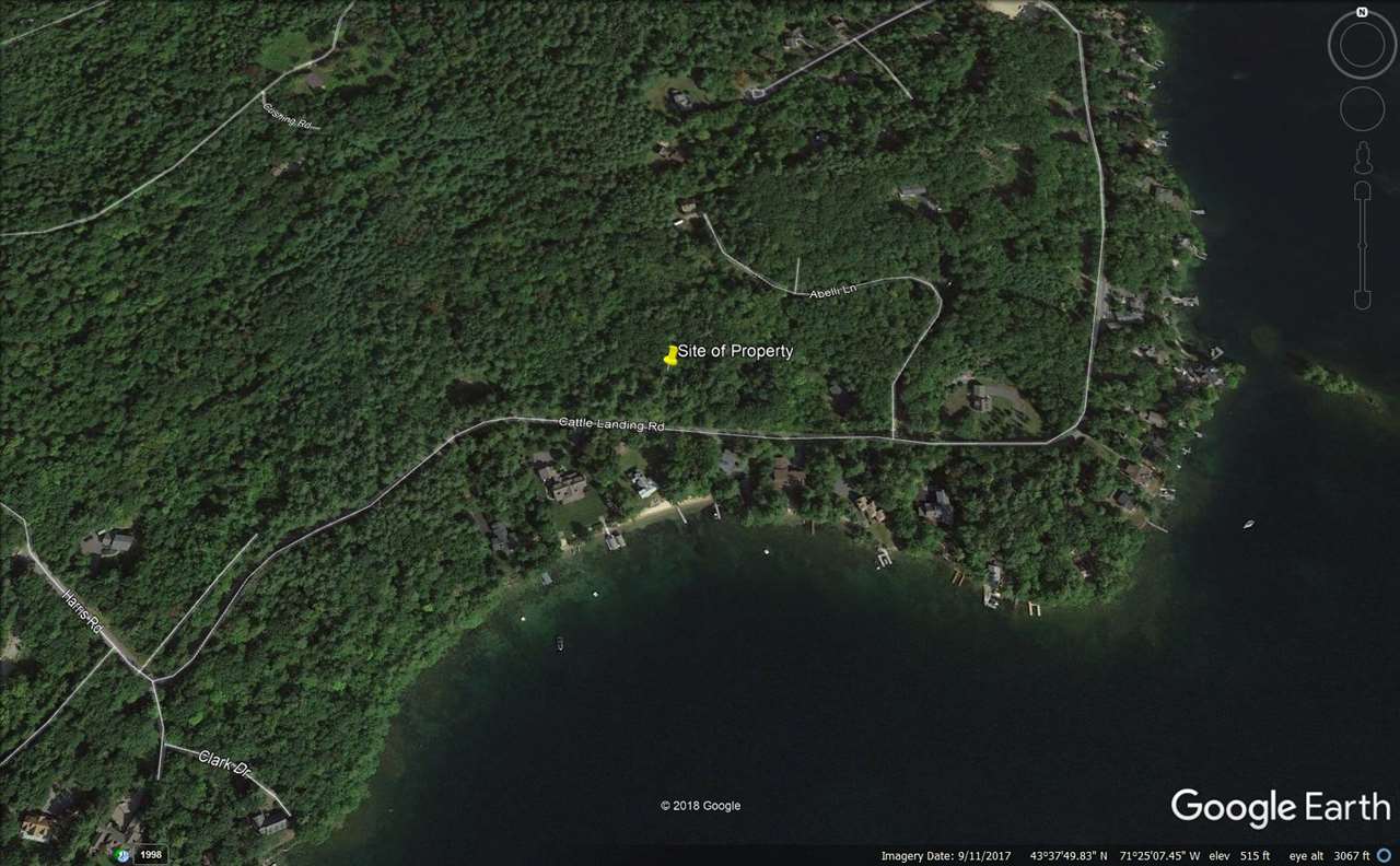 121 Cattle Landing Road Meredith, NH 03253 - Photo 2 of 21