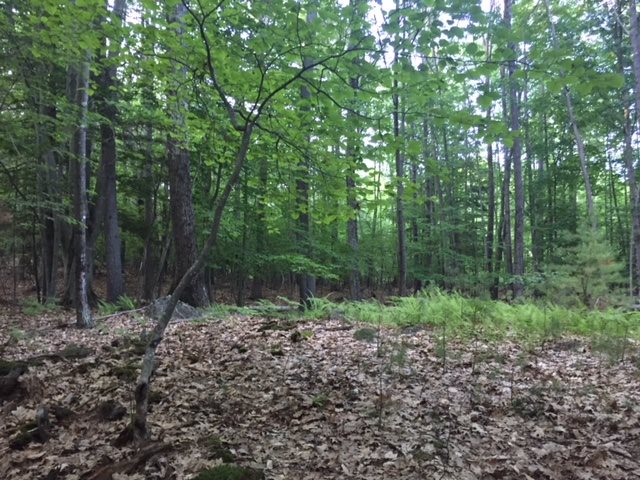 121 Cattle Landing Road Meredith, NH 03253 - Photo 11 of 21