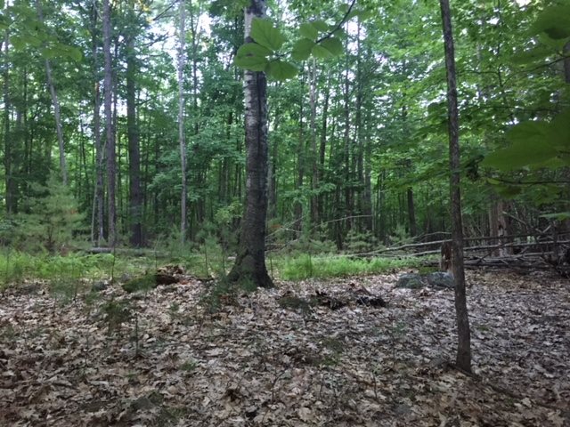 121 Cattle Landing Road Meredith, NH 03253 - Photo 12 of 21