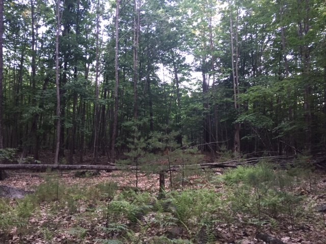 121 Cattle Landing Road Meredith, NH 03253 - Photo 13 of 21