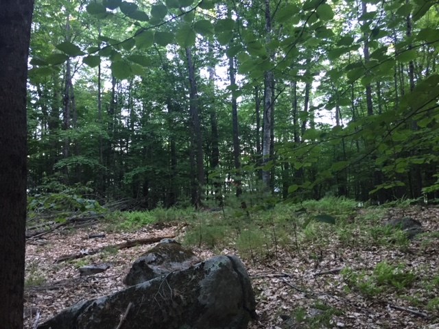 121 Cattle Landing Road Meredith, NH 03253 - Photo 15 of 21