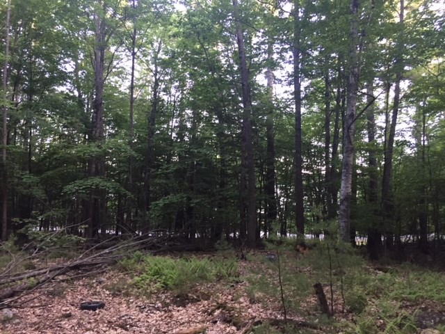 121 Cattle Landing Road Meredith, NH 03253 - Photo 16 of 21