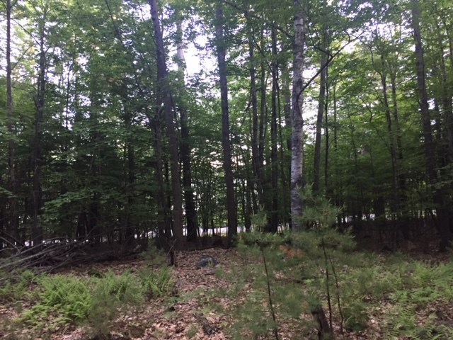 121 Cattle Landing Road Meredith, NH 03253 - Photo 17 of 21