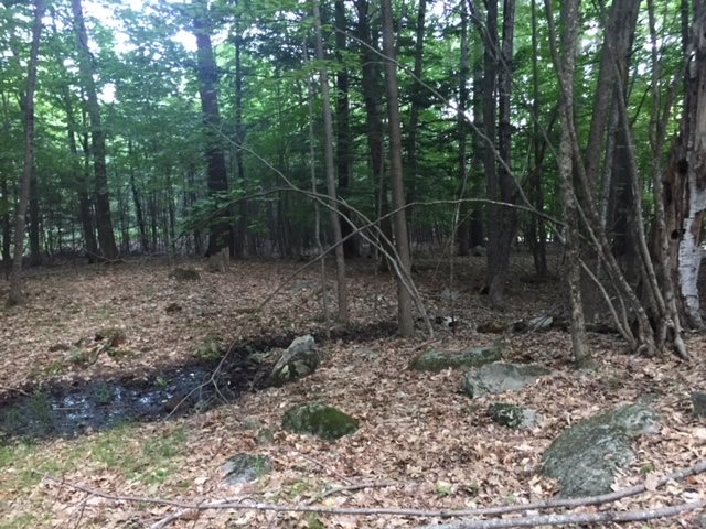 121 Cattle Landing Road Meredith, NH 03253 - Photo 18 of 21