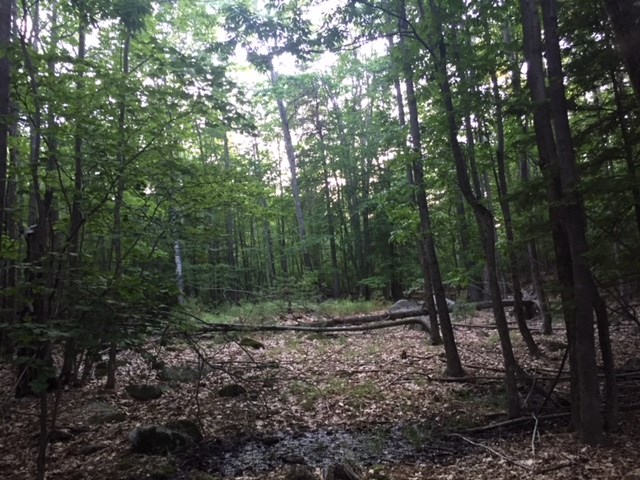 121 Cattle Landing Road Meredith, NH 03253 - Photo 20 of 21