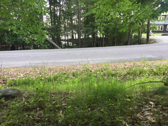 121 Cattle Landing Road Meredith, NH 03253 - Photo 7 of 21