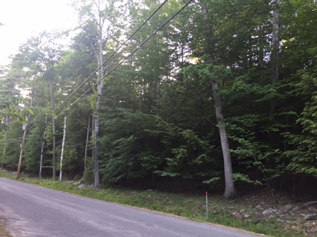 121 Cattle Landing Road Meredith, NH 03253 - Photo 8 of 21