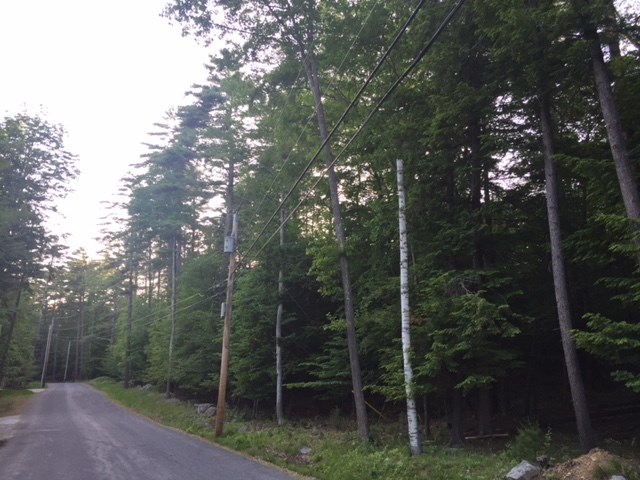 121 Cattle Landing Road Meredith, NH 03253 - Photo 9 of 21