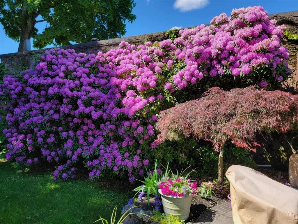 8 Flagg Street Woburn, MA 01801 - Photo 23 of 25