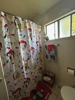 a bathroom with a toilet and shower curtain