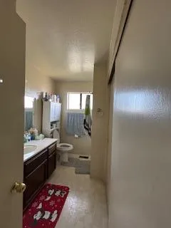 a bathroom with a double vanity sink toilet and shower